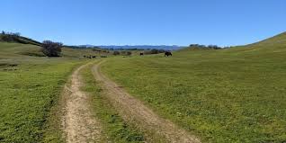 Selling Land For Hunting