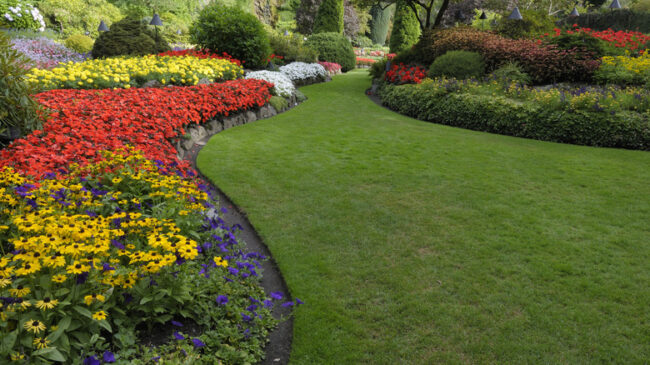 Lawn Mowing Lafayette La